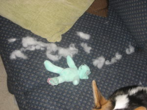 Izzie and What's Left of Minty